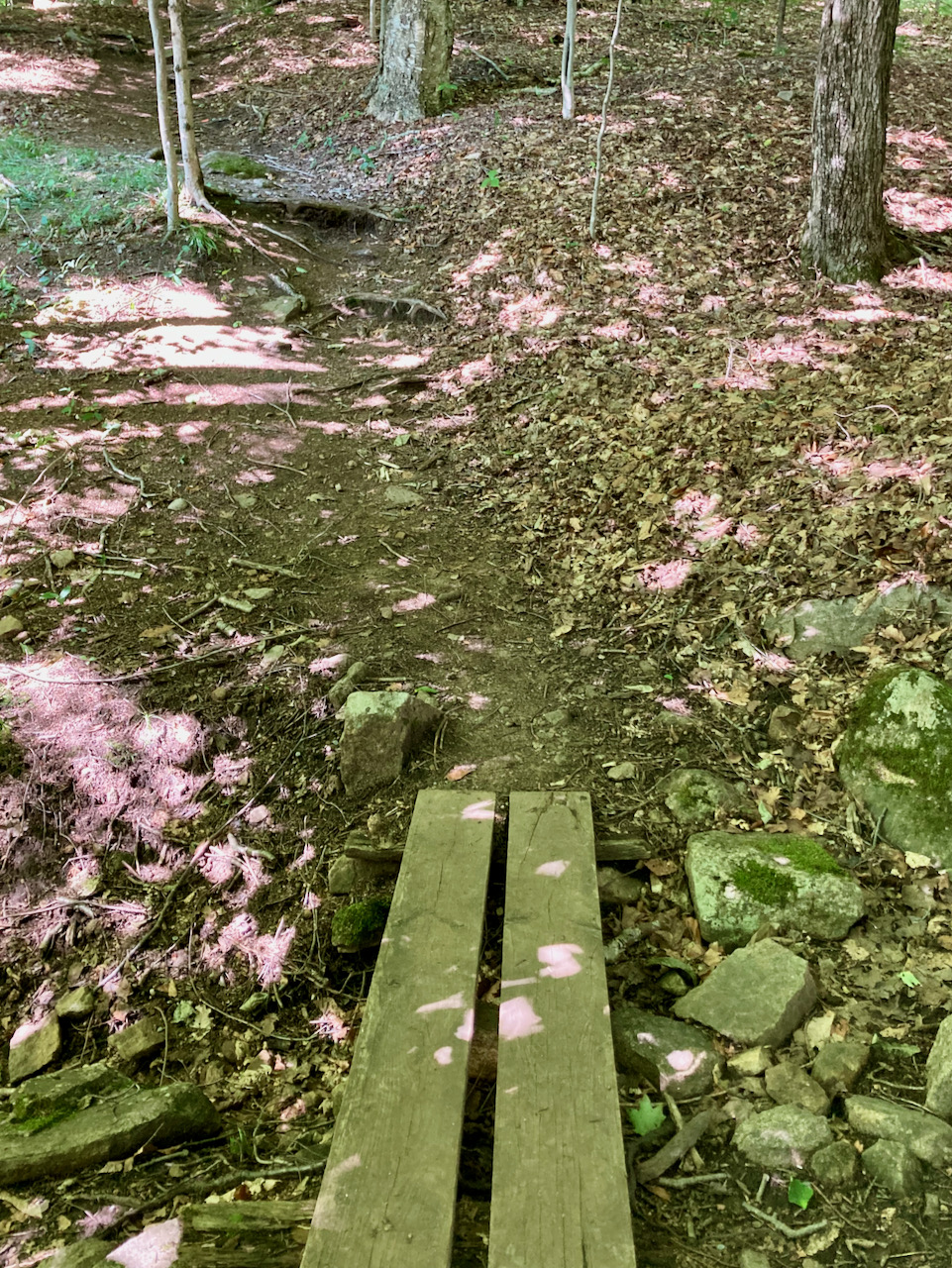 Two boards over small depression in ground.