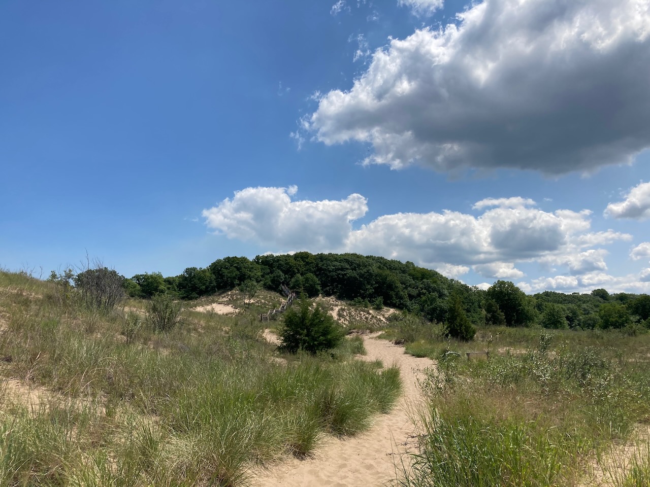 Trail leading up dunes.