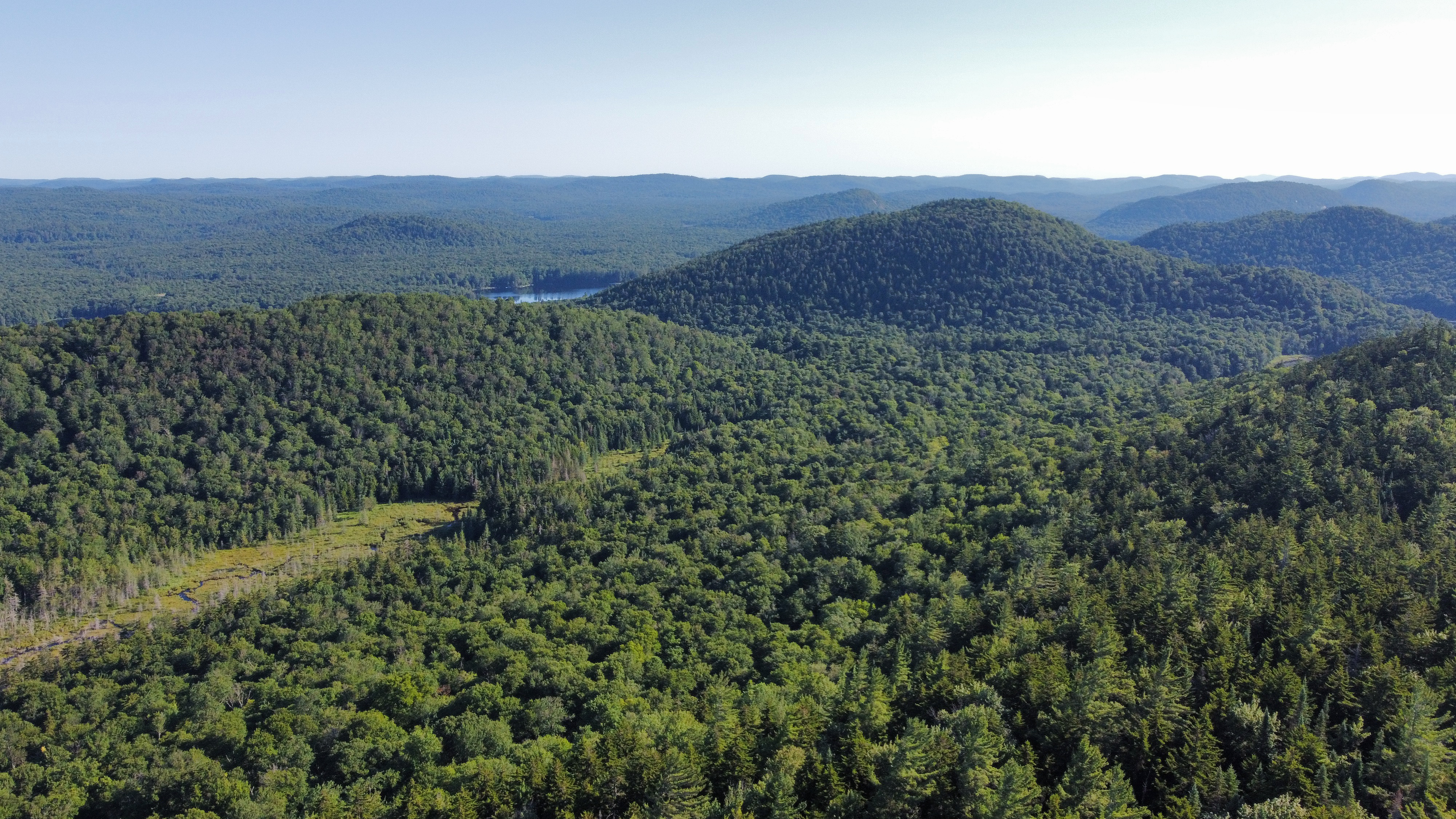 View of surrounding forests and mountains from top of Bald Mountain.