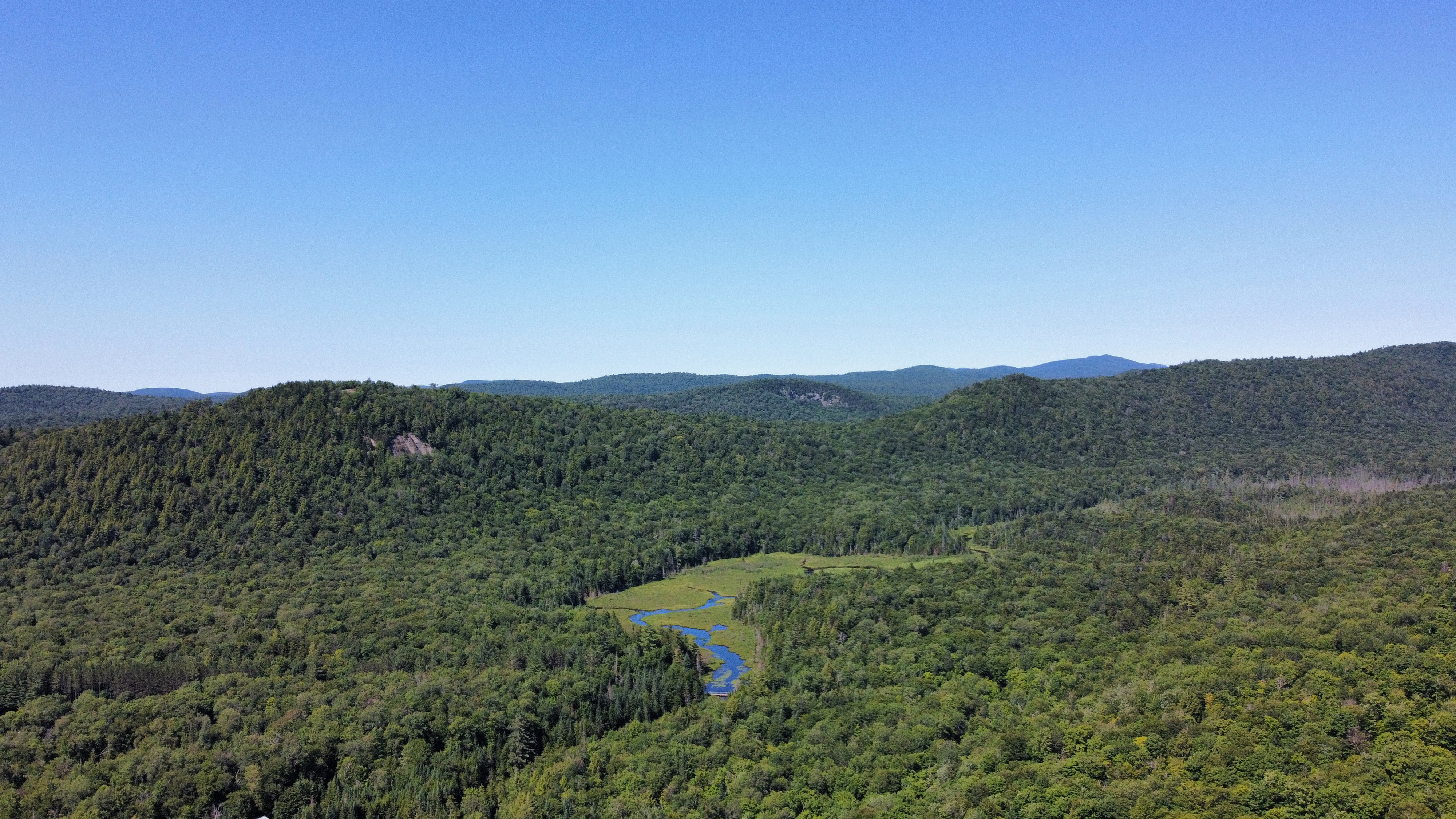 View of forests, mountains, and wetlands.