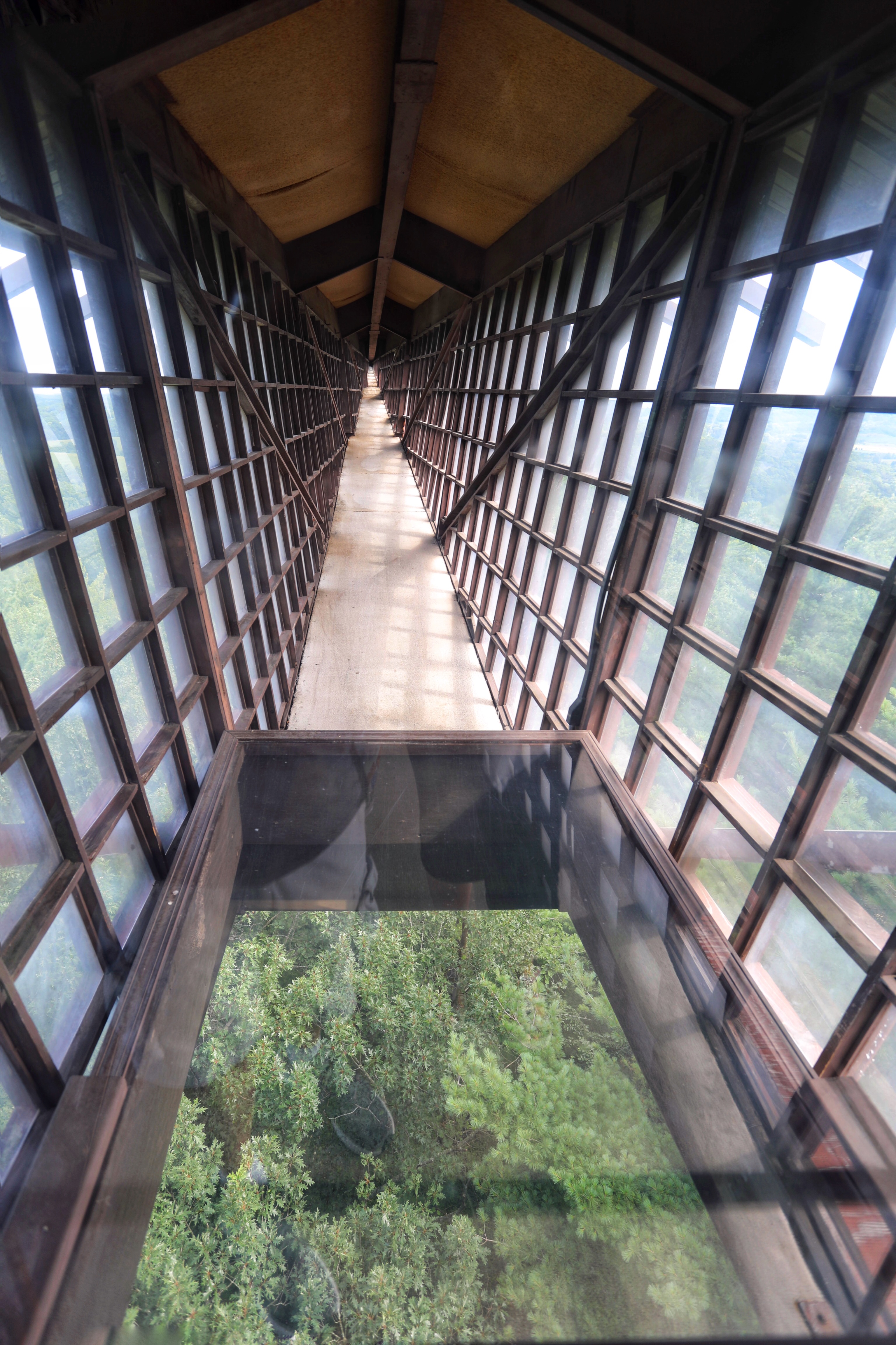 View of Infinity Room, with glass floor showing trees below.