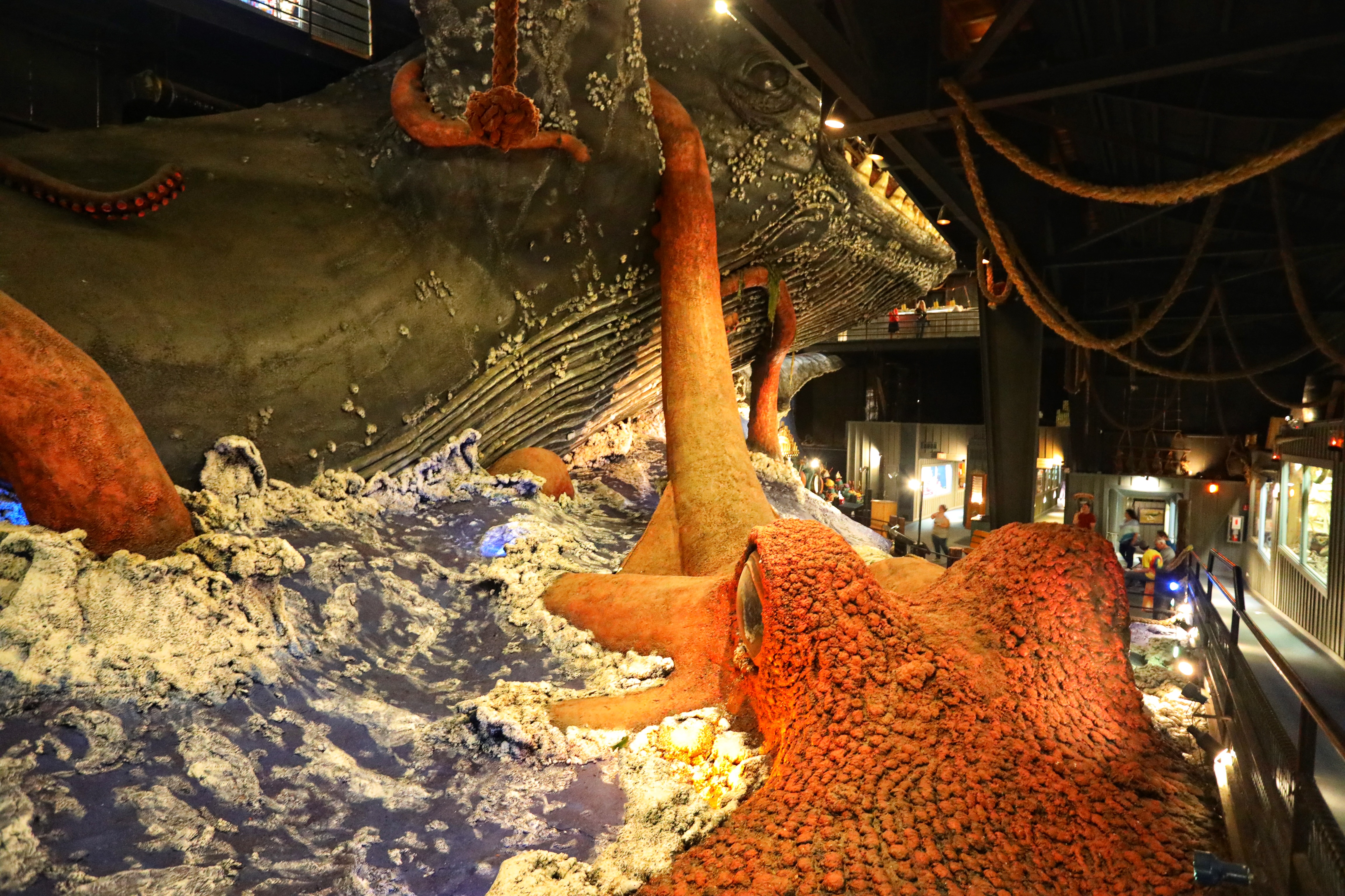 Diorama of giant squid attacking a whale.