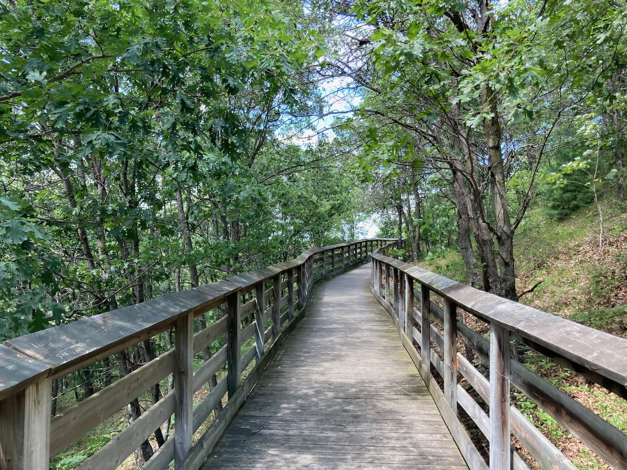 Wooden footbridge through park.
