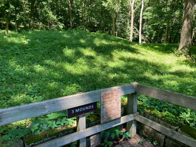 Site of 3 Mounds at Effigy Mounds National Monument.