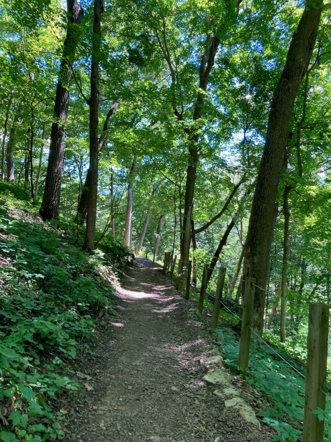 Trail through Effigy Mounds National Monument.