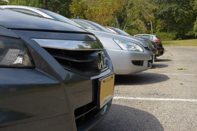Front ends of four Honda Accords in a row.