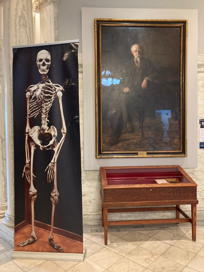 Skeleton mural and painting of doctor against wall.
