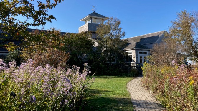 Exterior of Wetland Institute