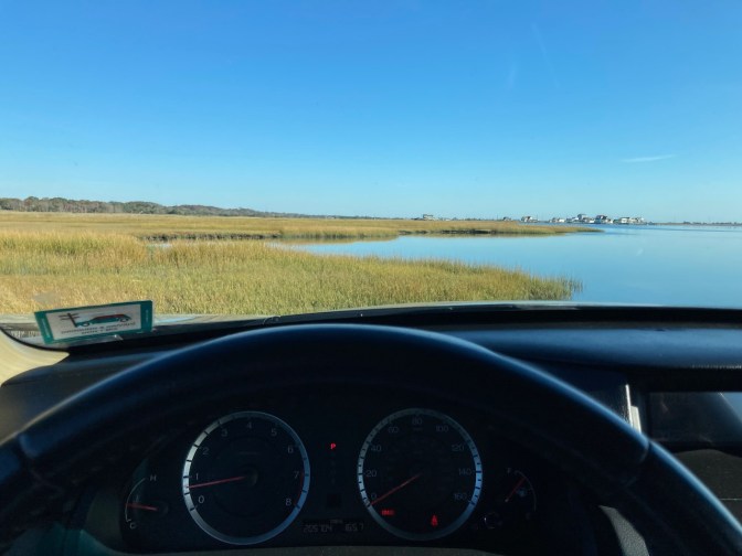 View of wetlands from behind wheel of 2012 Honda Accord.