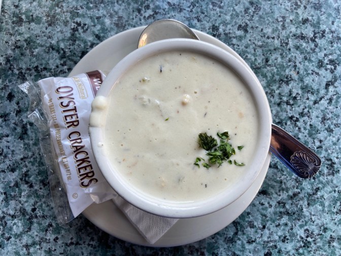 New England clam chowder in cup.