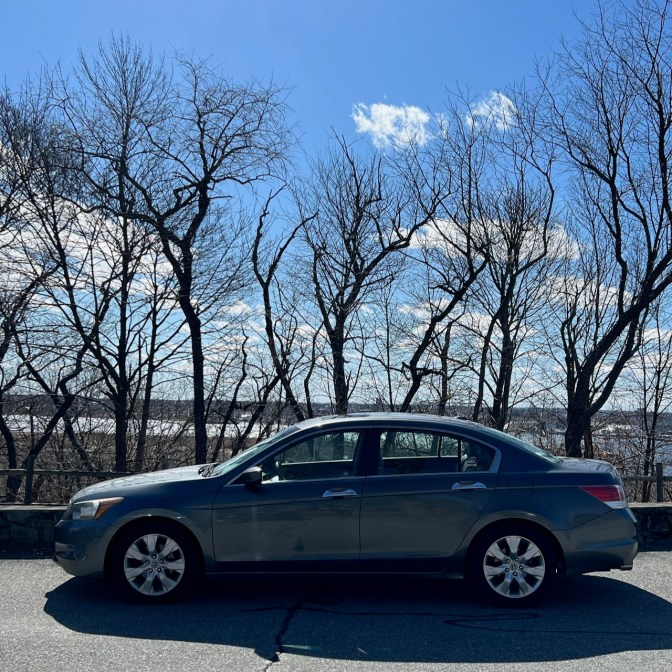 2010 Honda Accord parked in front of trees.