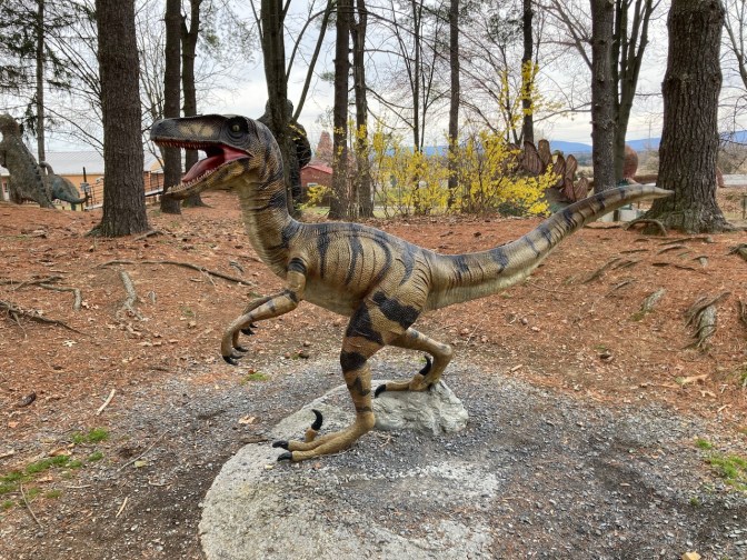 Velociraptor on display in woods.