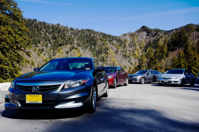 2012 Honda Accord coupe, 2010 Honda Accord sedan, 2014 Honda Accord sedan, and 2003 Honda Accord coupe.