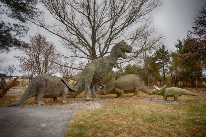 View of triceratops and Tyrannosaurus rex fighting.