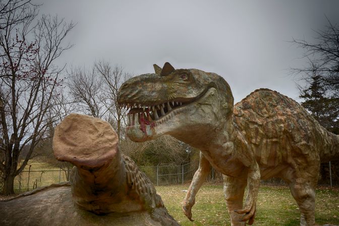 Megalosaurus eating an apatosaurus.