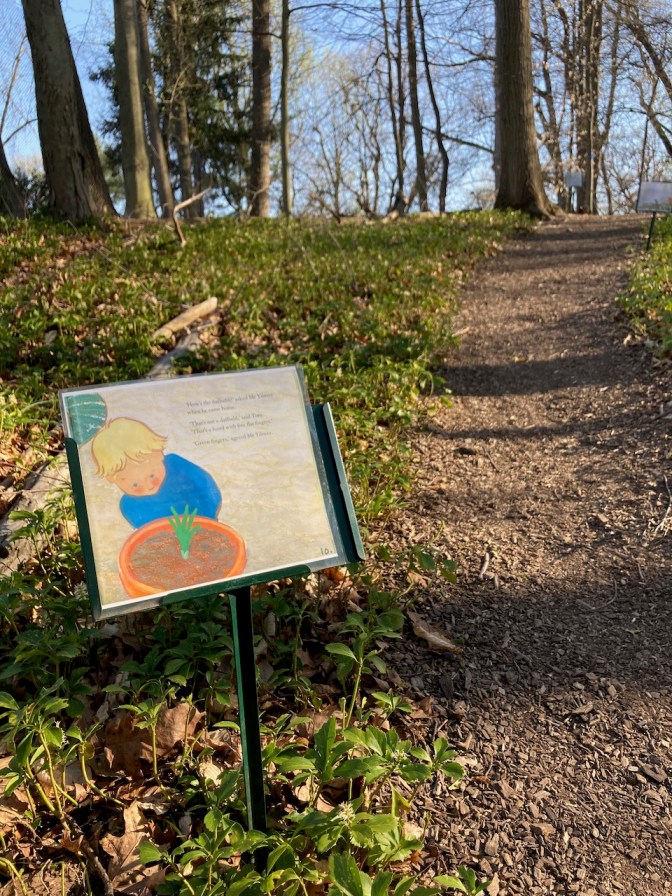 Trail through woods, with picture book on sign post.