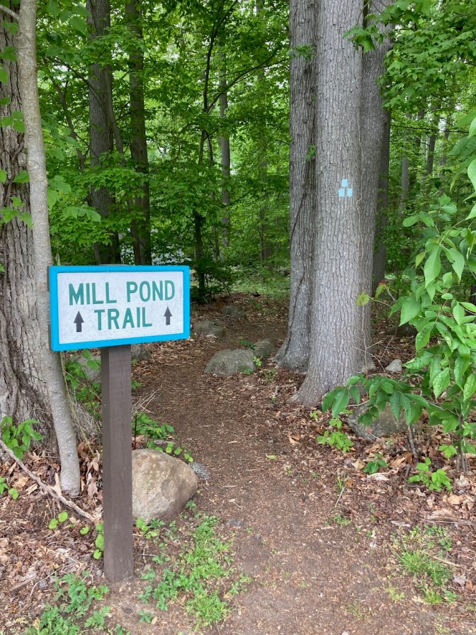 Entrance to Mill Pond Trail.