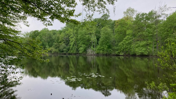 Davidsons Mill Pond.
