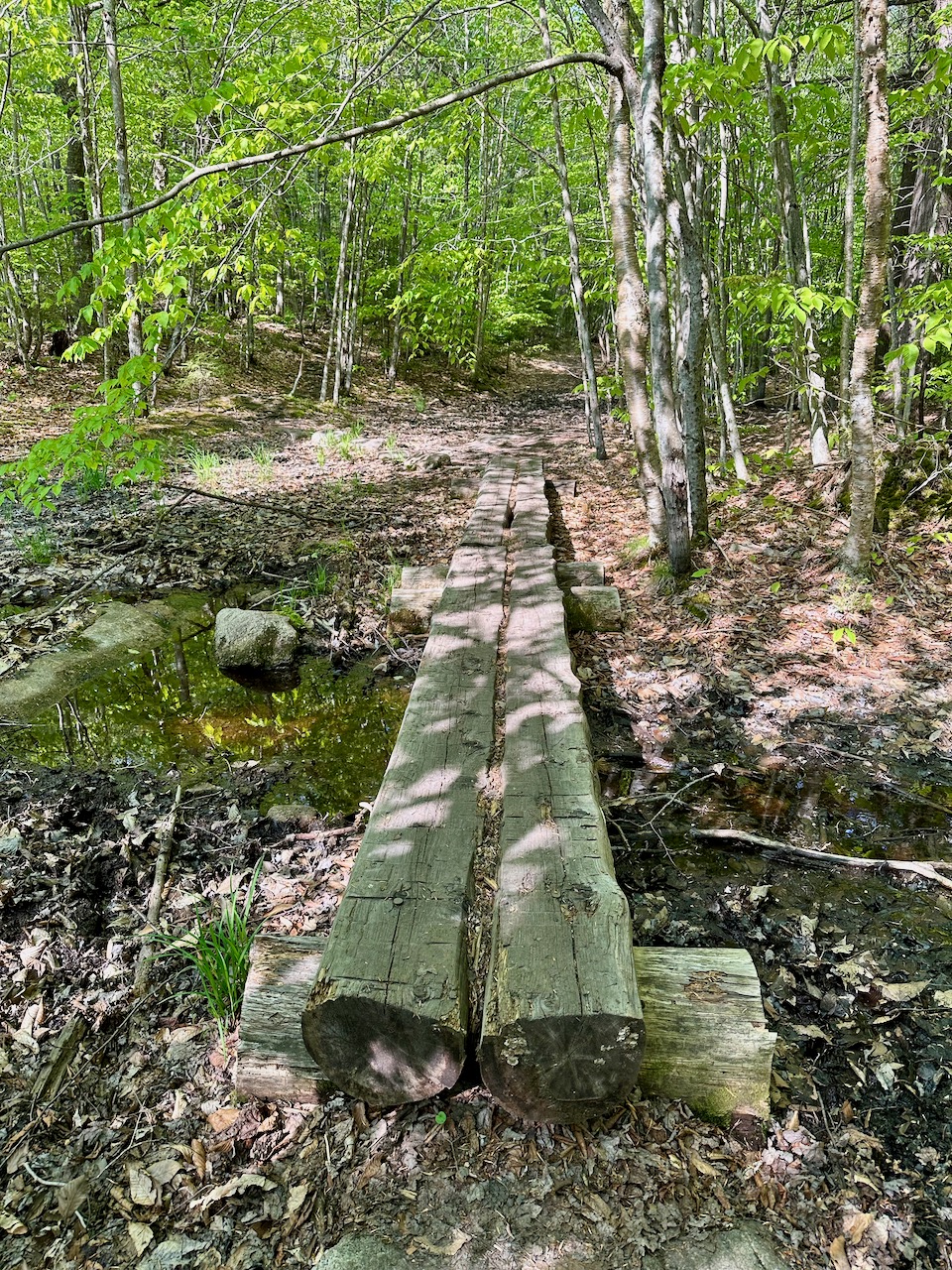 Wooden log bridge over swampy section of trail.