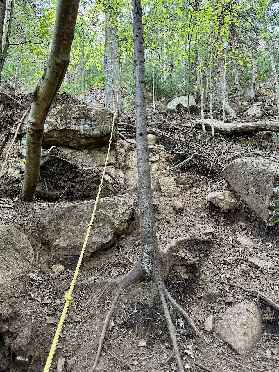 Yellow rope hanging from tree along rocky section of trail.