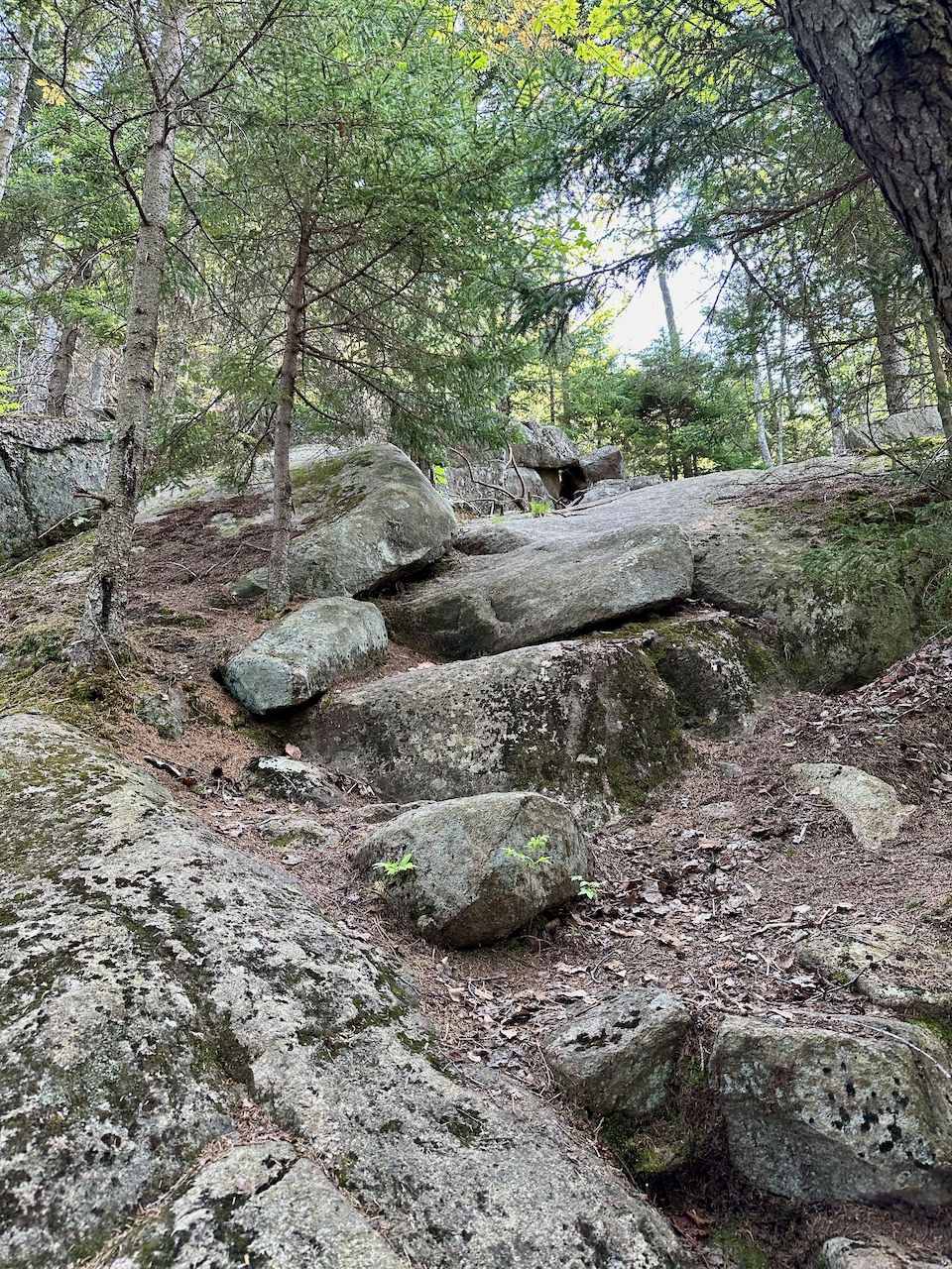 Rocky mountainside in woods.