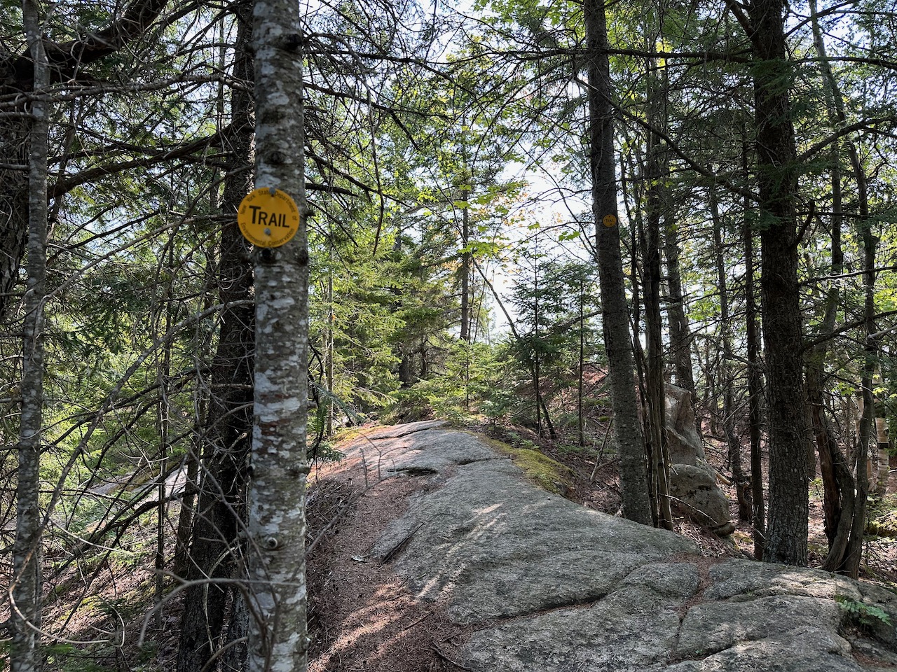 Rocky trail through woods, with yellow FOOT TRAIL sign on tree.