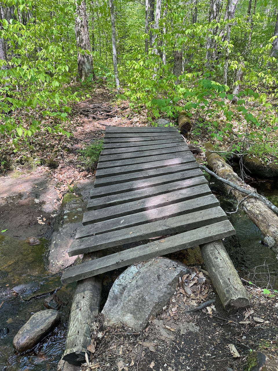 Wooden footbridge over stream, with bridge sloped to the left.