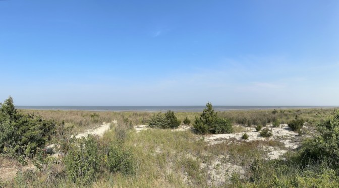 View of dunes and ocean.