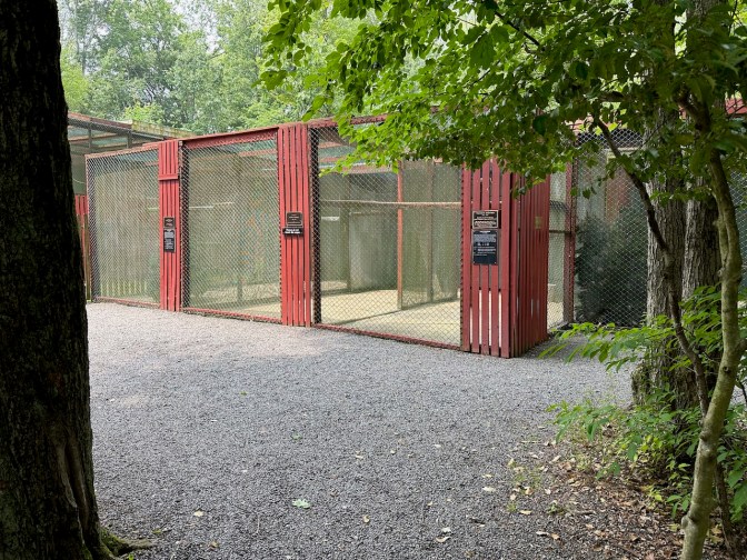 View of aviary trail and enclosures for birds.