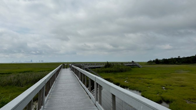 View of boardwalk along Eco Trail.