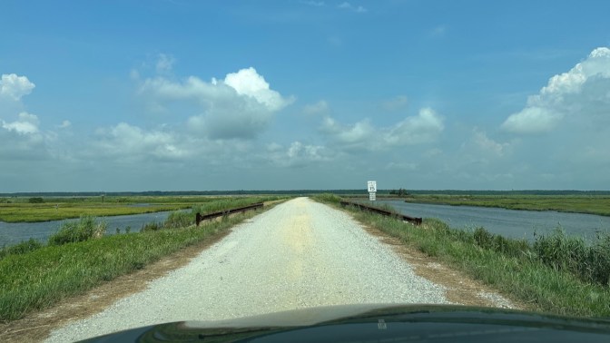 View of Auto Tour through wetlands.