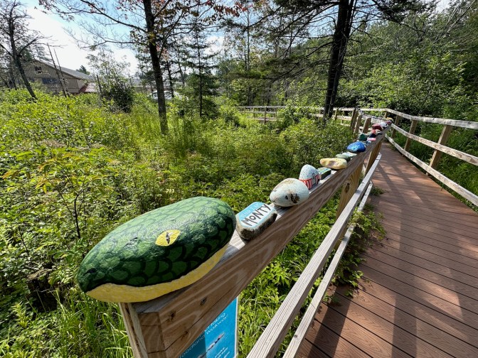 Snake made of painted stones along fence in wetlands area.