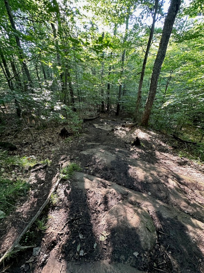 Downhill view of Rocky Mountain trail.