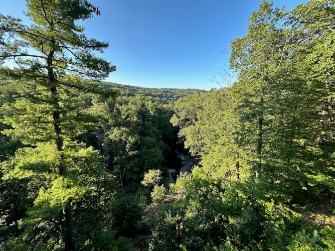 View of Nay Aug Gorge from treehouse.