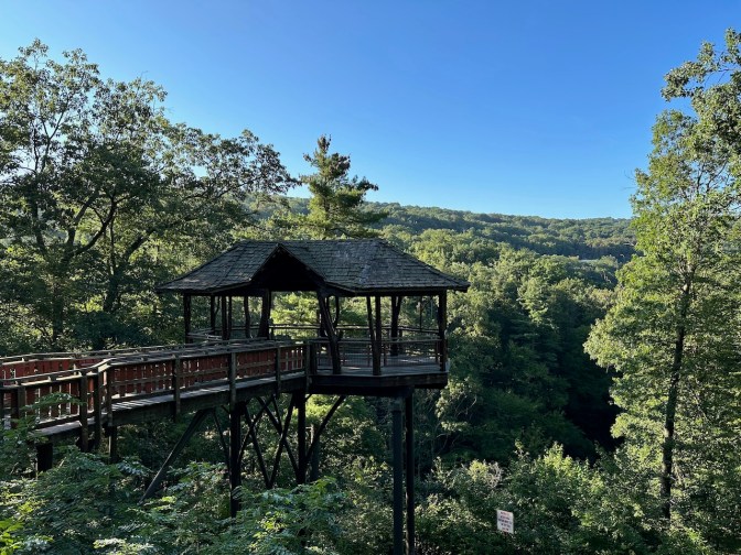 View of Dave Wenzel Treehouse.