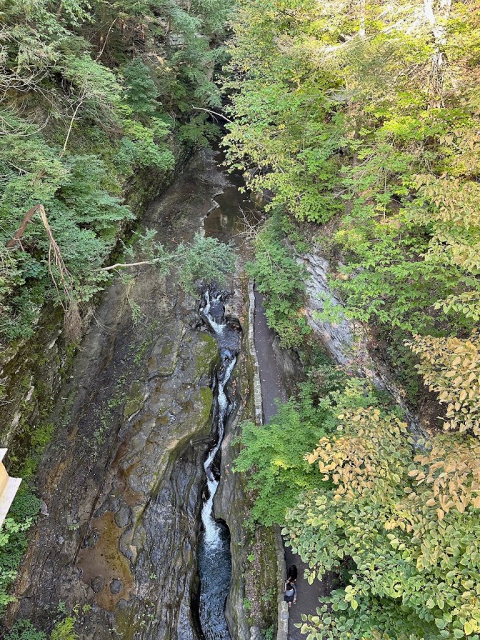 View of gorge from suspension bridge.
