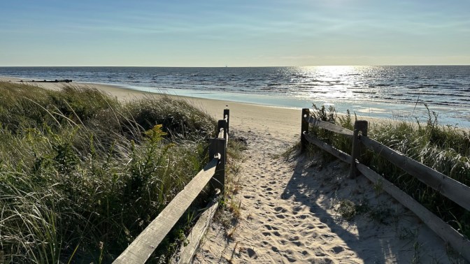 View of path through dunes to beach.