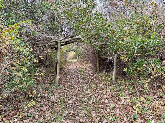 Arbors along path through preserve.