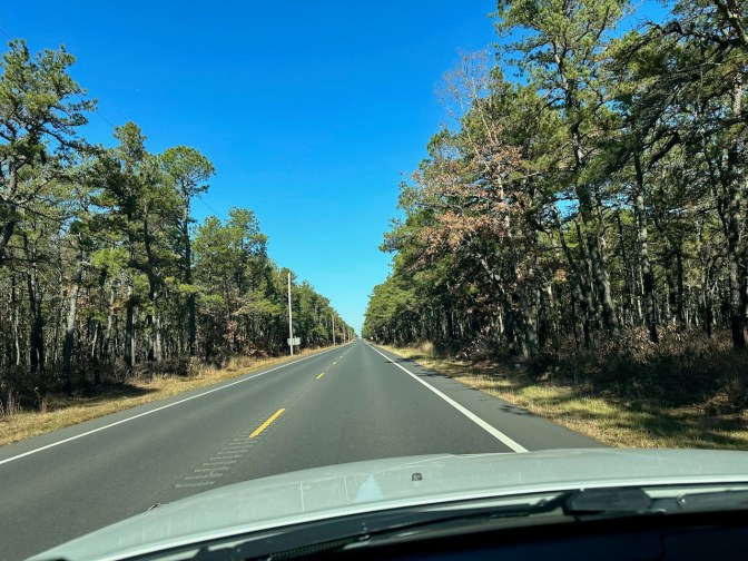 View of two-lane road through Pine Barrens.