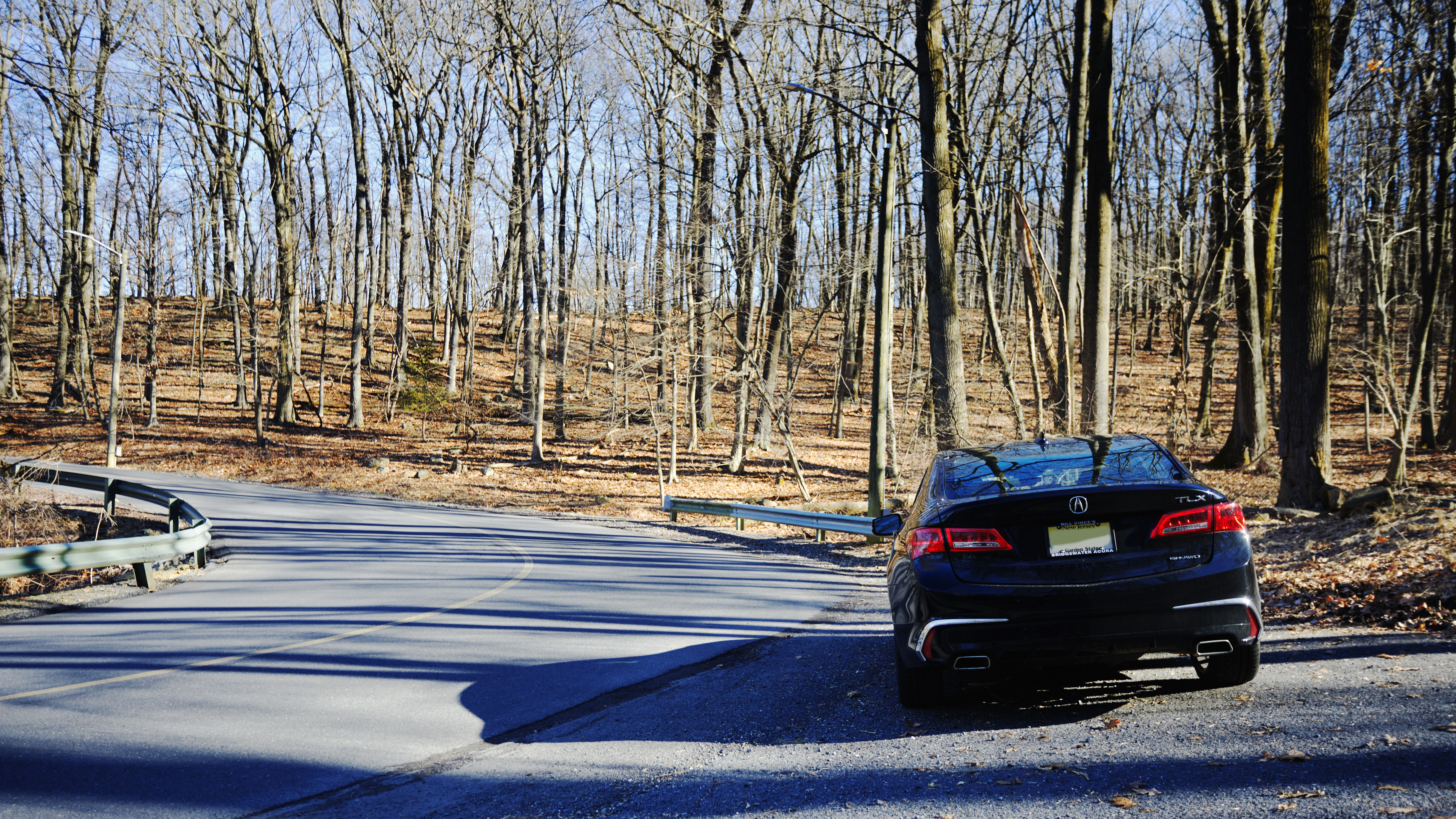 2020 Acura TLX parked beside road.