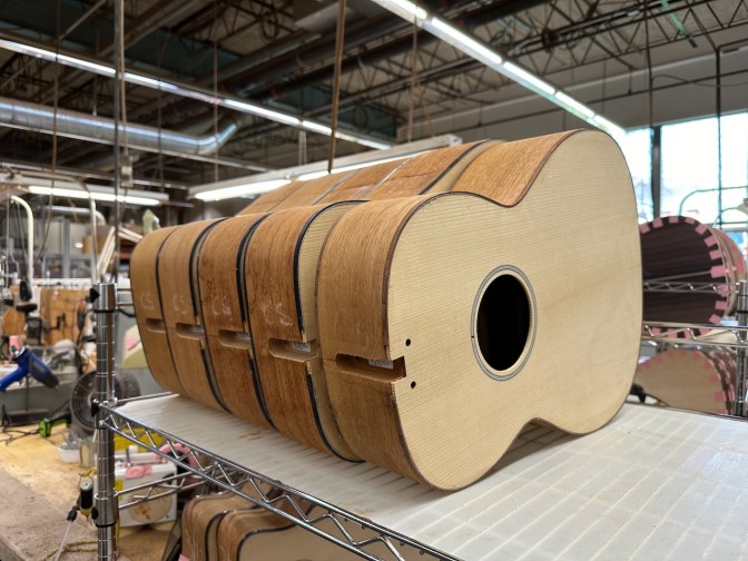 Unfinished guitar bodies on racks.