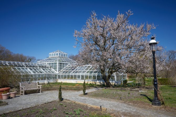 Exterior of Grillo Glass House.