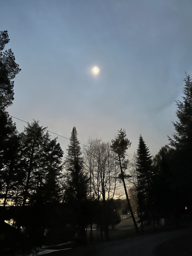 View of total solar eclipse with dark skies and trees in foreground.