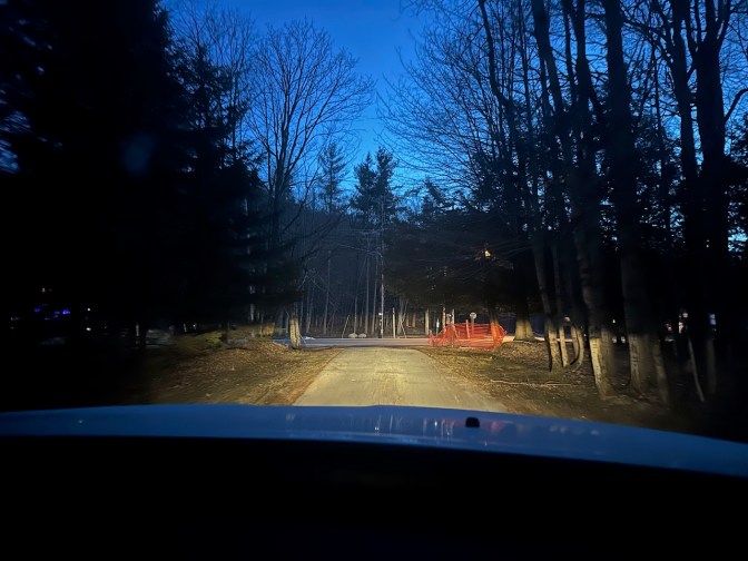 View of driveway at dawn.