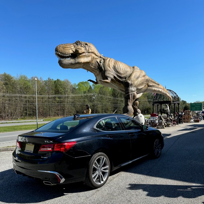 2020 Acura TLX parked in front of Tyrannosaurs Rex statue.