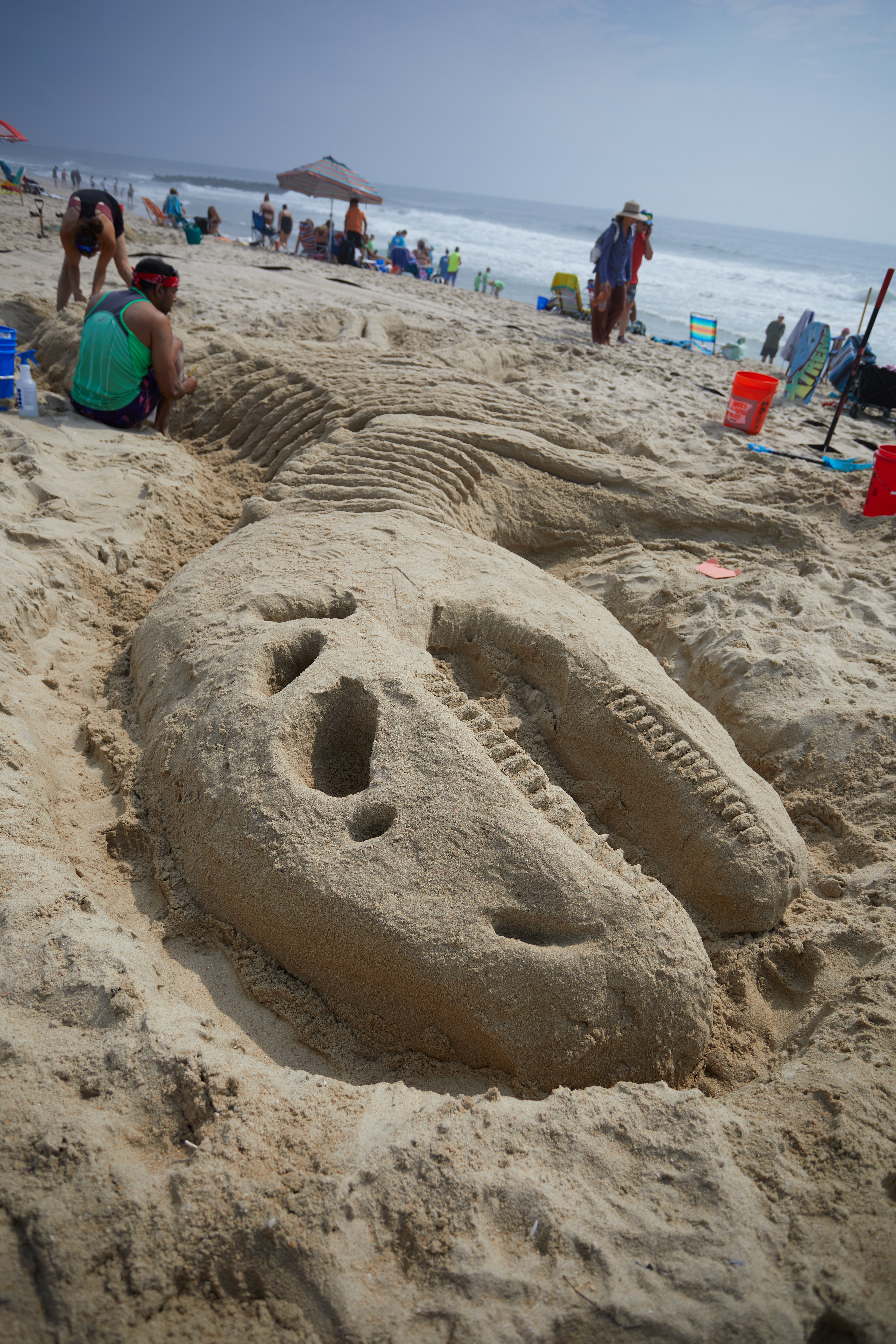 Sand sculpture of Tyrannosaurus rex skeleton.
