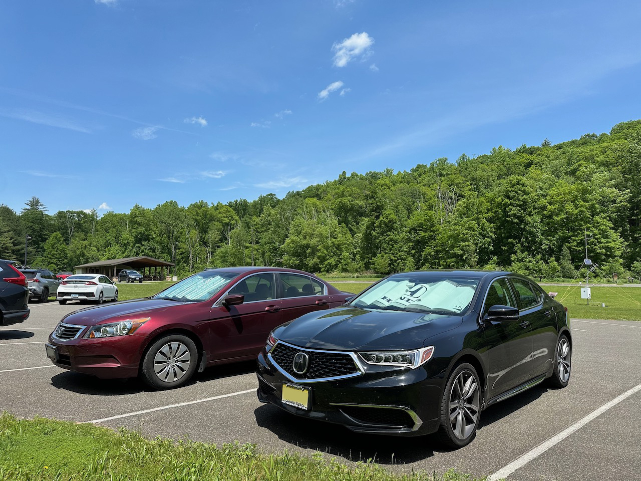 2010 Honda Accord sedan parked next to 2020 Acura TLX.
