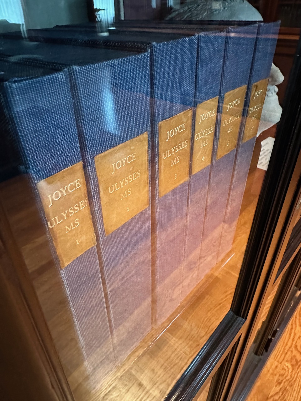 Six boxes on shelves that contain manuscripts for Ulysses by James Joyce.