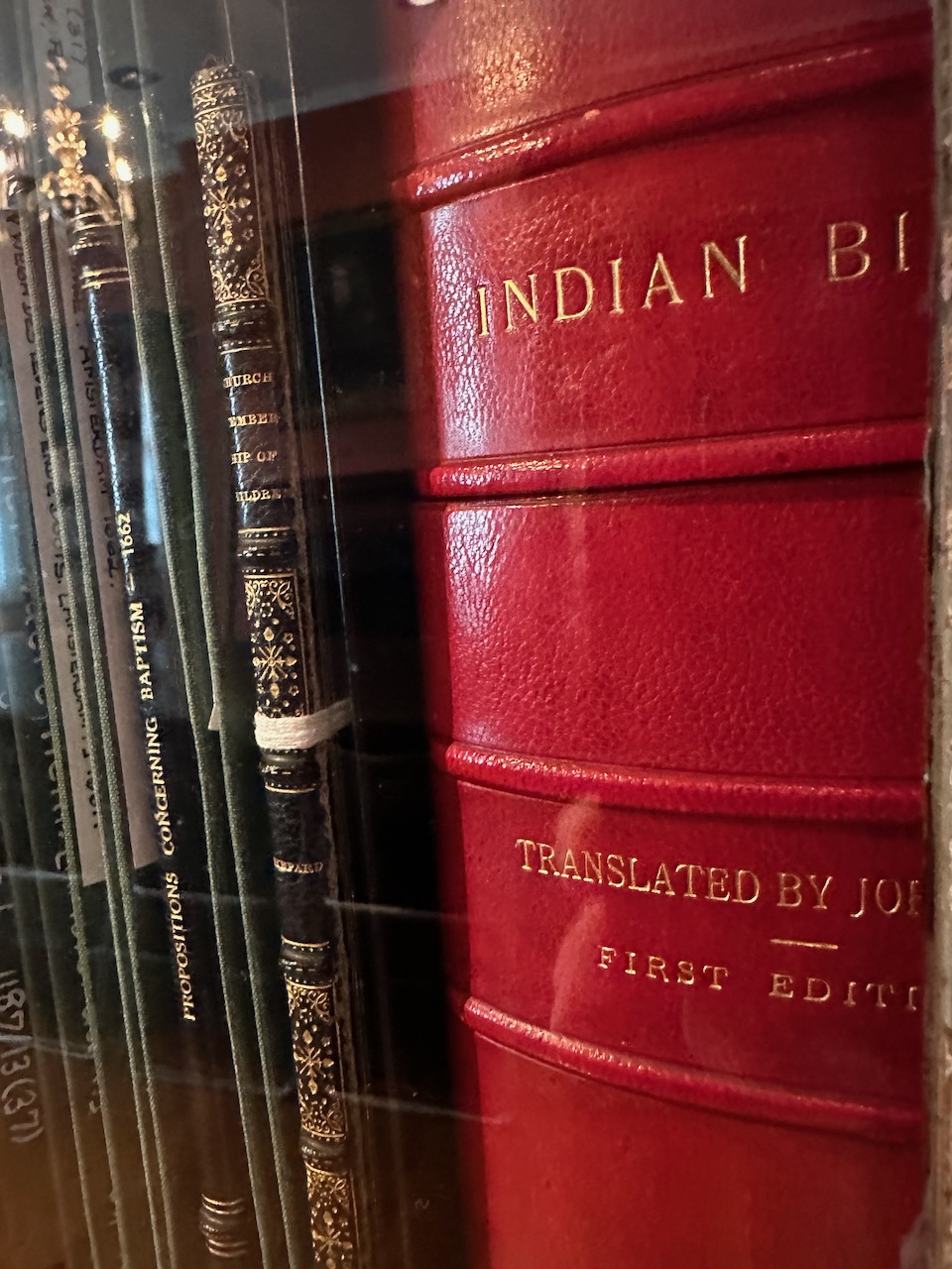Spines of books on bookcase including an Indian Bible.