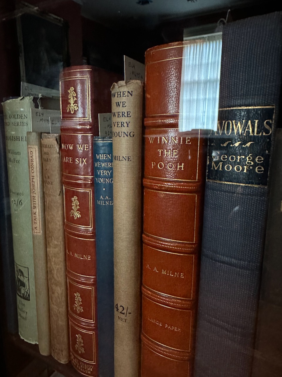 Hardbound books on shelves.